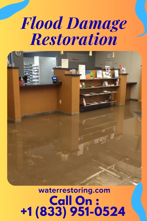Flood Damage Restoration in South River, NM