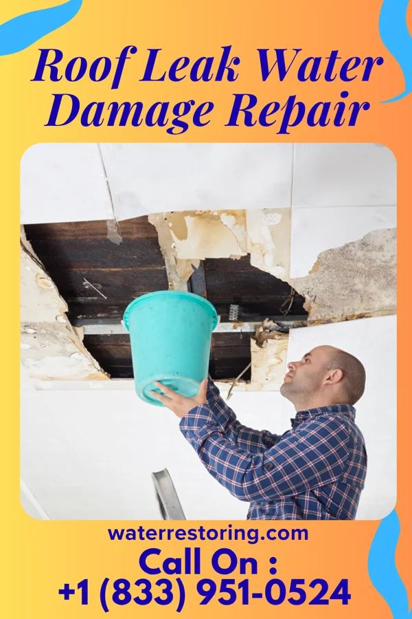 Roof Leak Water Damage Repair in South River, NM